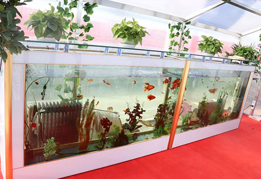 敬业医药工厂图片